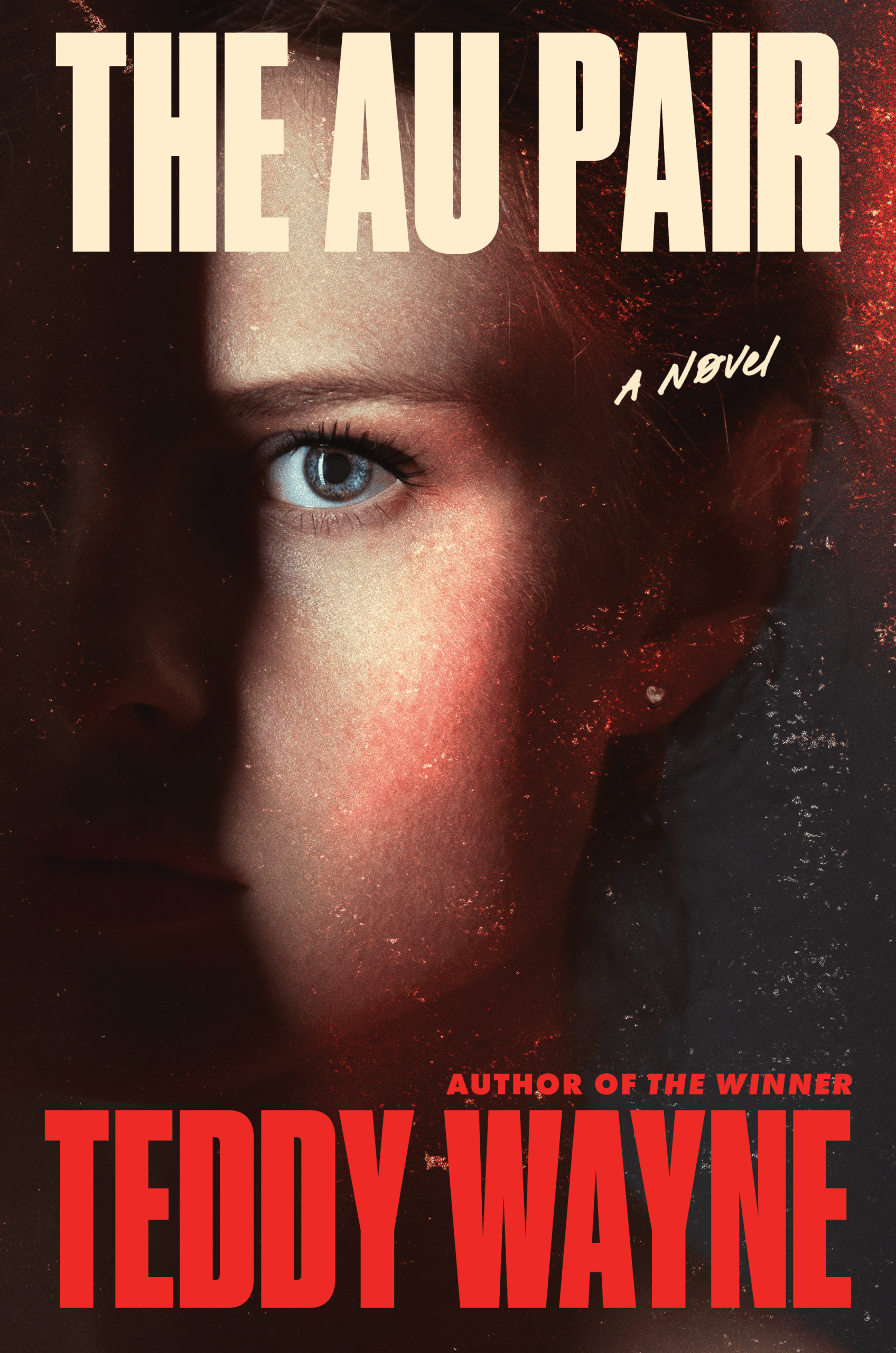 The Au Pair by Teddy Wayne book cover